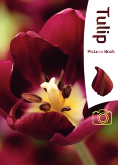 Tulipán fajták színes katalógusa